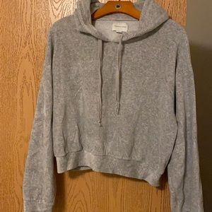 American eagle velour sweatshirt cropped large